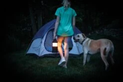 Nebo BIg Poppy RC Lantern -Outdoor Gear Store eneb6908 16 fullsize